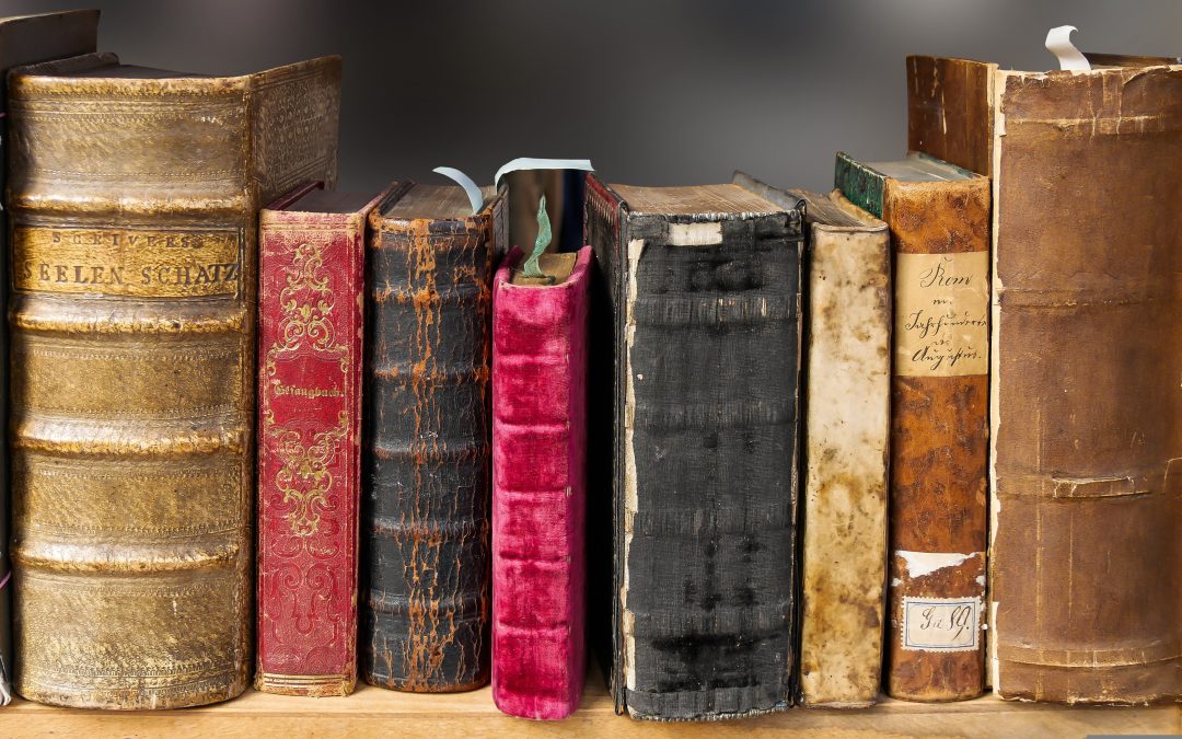 Vom Lesen der Bücher, der Menschen und des eigenen Lebens